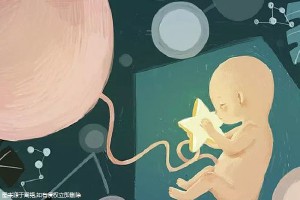 关于同志供卵代孕网